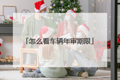 怎么看车辆年审期限