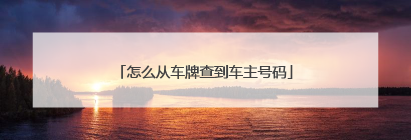 怎么从车牌查到车主号码