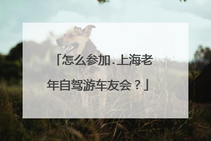 怎么参加.上海老年自驾游车友会？