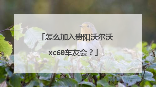 怎么加入贵阳沃尔沃xc60车友会？