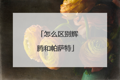 怎么区别辉腾和帕萨特