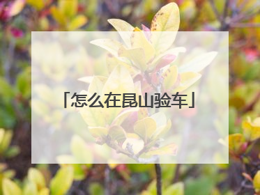 怎么在昆山验车