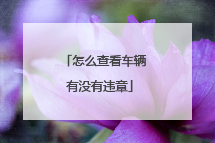 怎么查看车辆有没有违章