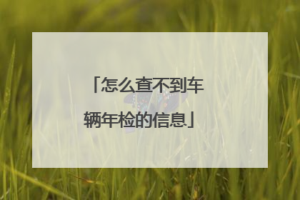 怎么查不到车辆年检的信息