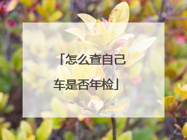 怎么查自己车是否年检