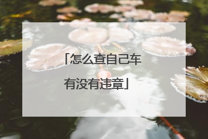 怎么查自己车有没有违章