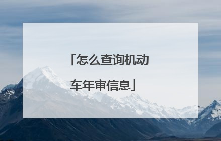 怎么查询机动车年审信息