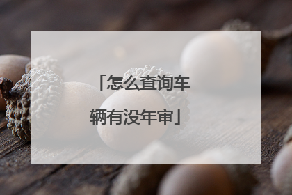 怎么查询车辆有没年审