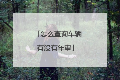 怎么查询车辆有没有年审