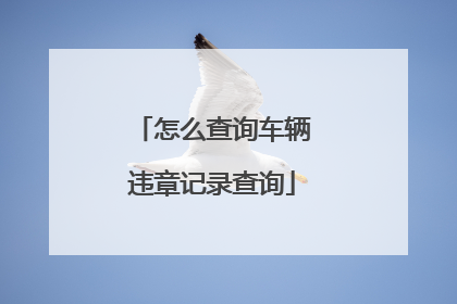 怎么查询车辆违章记录查询