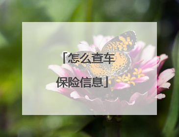 怎么查车保险信息