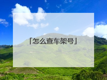怎么查车架号