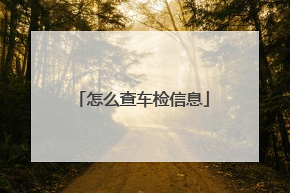 怎么查车检信息