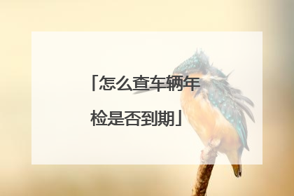 怎么查车辆年检是否到期
