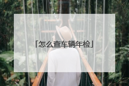 怎么查车辆年检