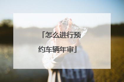 怎么进行预约车辆年审