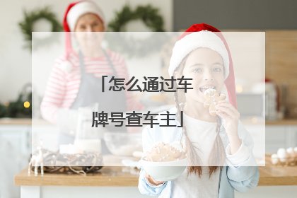 怎么通过车牌号查车主