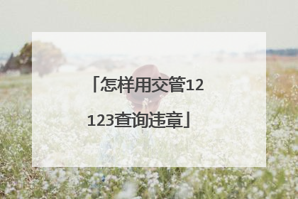怎样用交管12123查询违章
