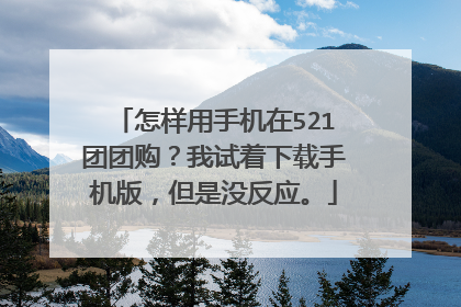 怎样用手机在521团团购？我试着下载手机版，但是没反应。