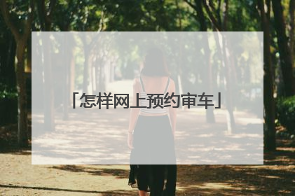 怎样网上预约审车