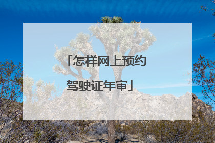 怎样网上预约驾驶证年审