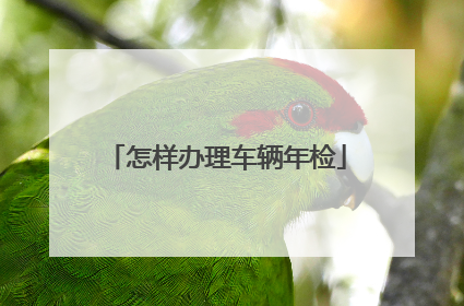 怎样办理车辆年检