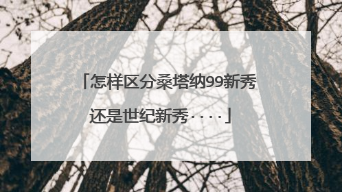 怎样区分桑塔纳99新秀还是世纪新秀····