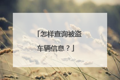 怎样查询被盗车辆信息？