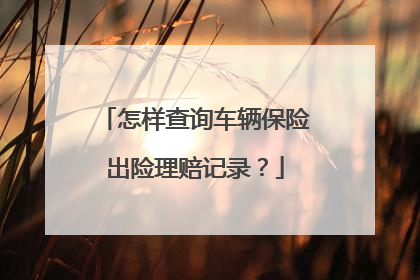 怎样查询车辆保险出险理赔记录？