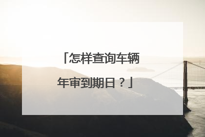 怎样查询车辆年审到期日？