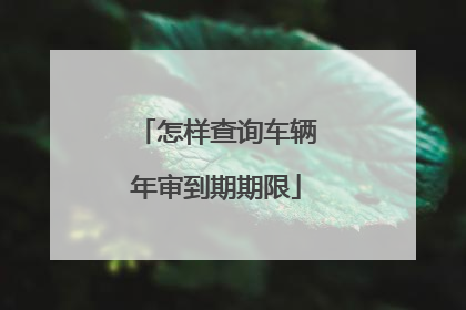 怎样查询车辆年审到期期限