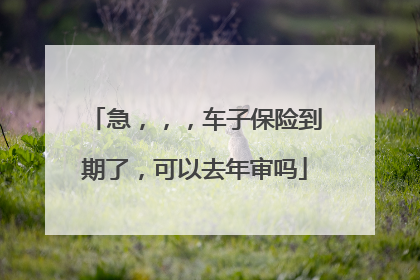 急，，，车子保险到期了，可以去年审吗