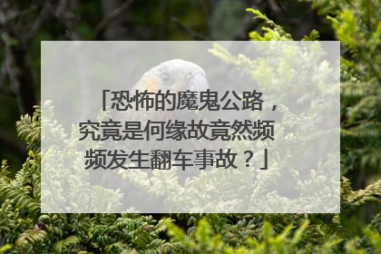 恐怖的魔鬼公路，究竟是何缘故竟然频频发生翻车事故？