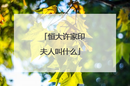 恒大许家印夫人叫什么