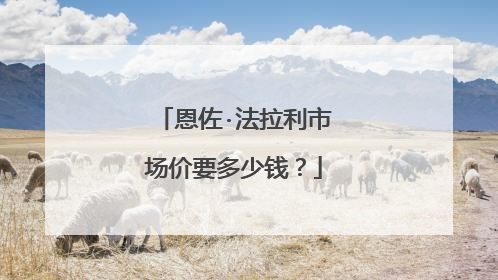 恩佐·法拉利市场价要多少钱？