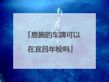 恩施的车牌可以在宜昌年检吗