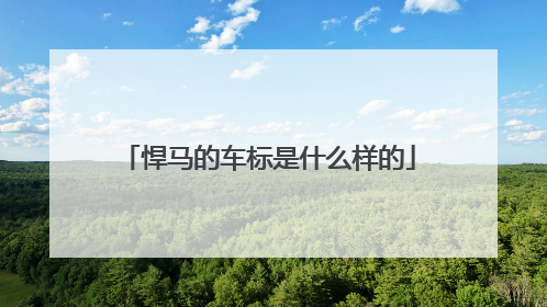 悍马的车标是什么样的