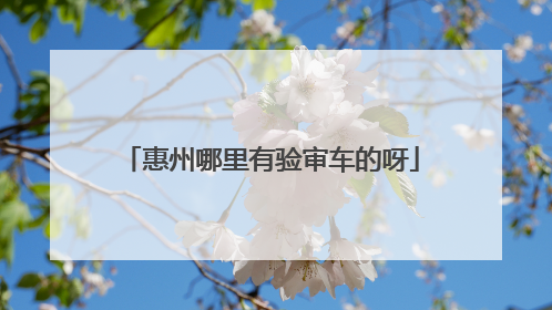 惠州哪里有验审车的呀