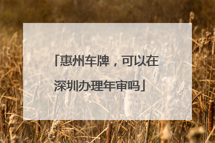 惠州车牌，可以在深圳办理年审吗