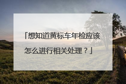 想知道黄标车年检应该怎么进行相关处理？