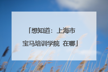 想知道: 上海市 宝马培训学院 在哪