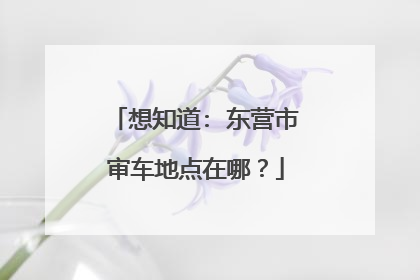 想知道: 东营市审车地点在哪？