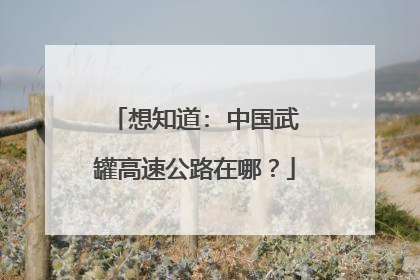 想知道: 中国武罐高速公路在哪？