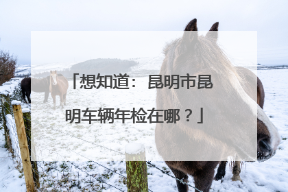 想知道: 昆明市昆明车辆年检在哪？