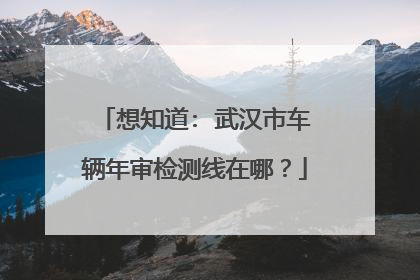 想知道: 武汉市车辆年审检测线在哪？