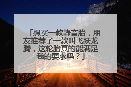 想买一款静音胎，朋友推荐了一款叫飞跃龙腾，这轮胎真的能满足我的要求吗？