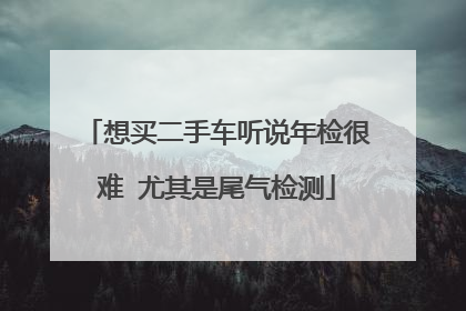 想买二手车听说年检很难 尤其是尾气检测