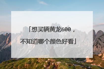 想买辆黄龙600，不知道哪个颜色好看
