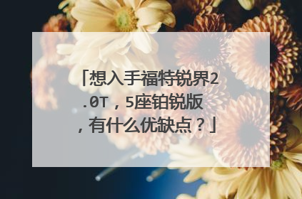 想入手福特锐界2.0T，5座铂锐版，有什么优缺点？