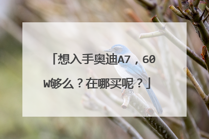 想入手奥迪A7，60W够么？在哪买呢？